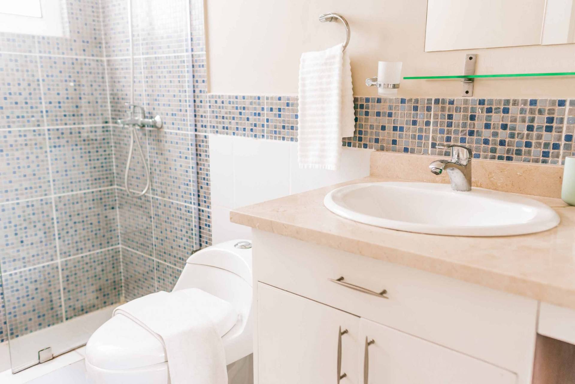 bathroom one bedrom penthouse